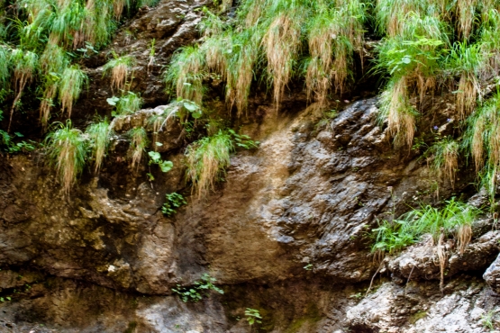 canyoning soca